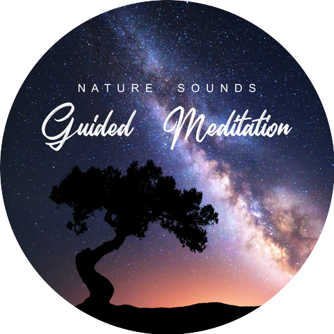 Guided Meditation Absolute