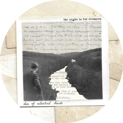 Din of Celestial Birds