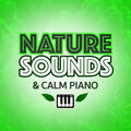 Piano Music Orchestra & Nature Sounds Sleep Music