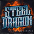 STEEL Dragon