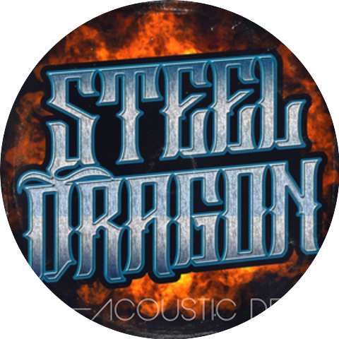 STEEL Dragon