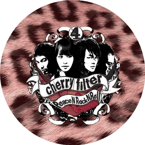 CHERRY FILTER