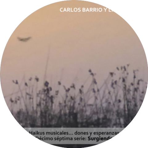 Carlos Barrio y Lipperheide