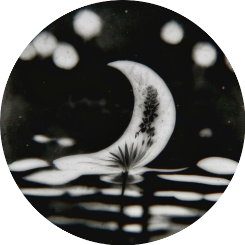 Lily Donat