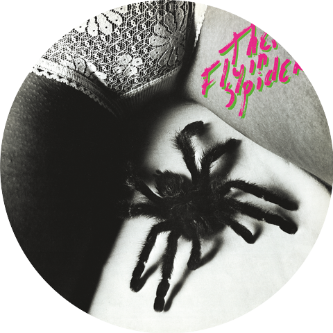 The Flyin' Spiderz