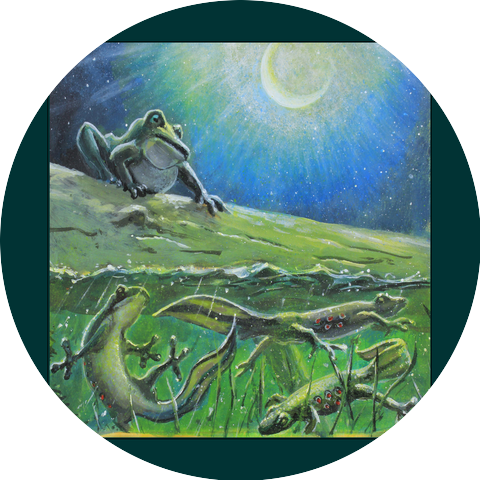 The Frog Books