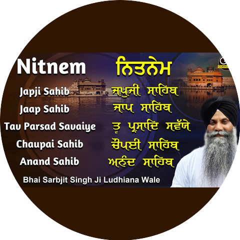 Bhai Sarbjit Singh Ludhiana Wale