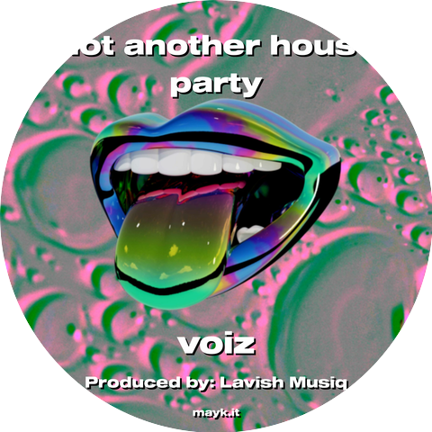 Voiz