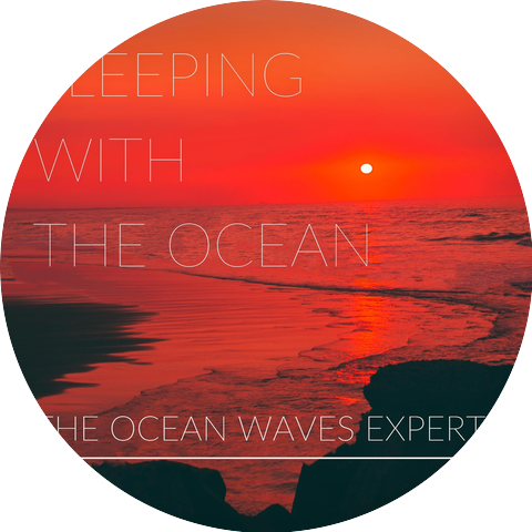 The Ocean Waves Experts