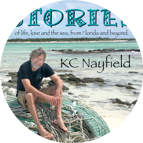 Kc Nayfield
