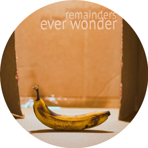 The Remainders
