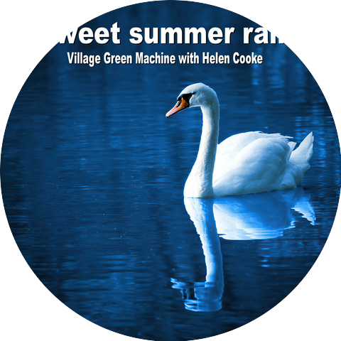 Village Green Machine