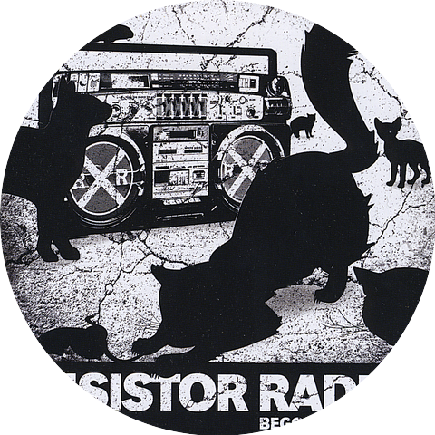 Resistor Radio