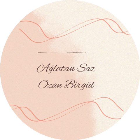 Ozan birgül