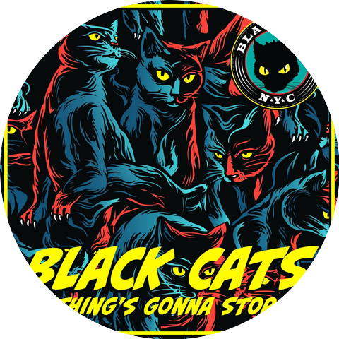 Black Cats NYC