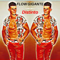 Flow Gigante