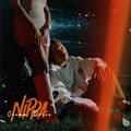 Nippa