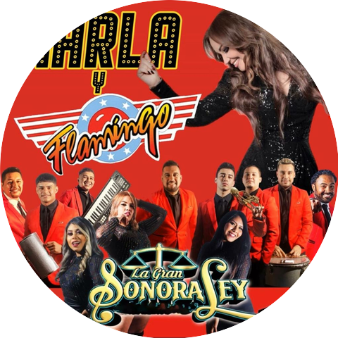 La Gran Sonora Ley