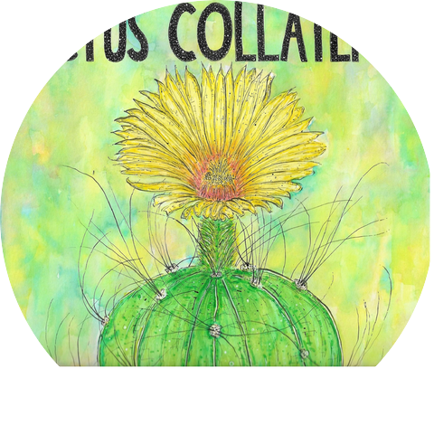 Cactus Collateral