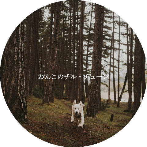 Sunday Morning Jazz Vibes