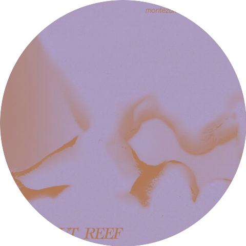 Makeout Reef