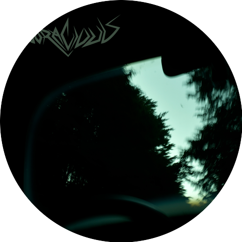 Voracious
