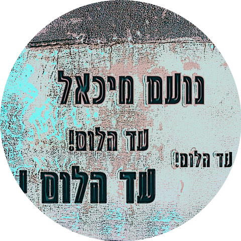 נועם מיכאל