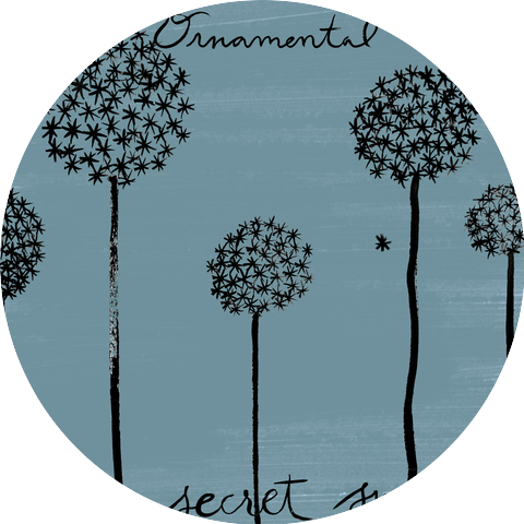 Ornamental Onion