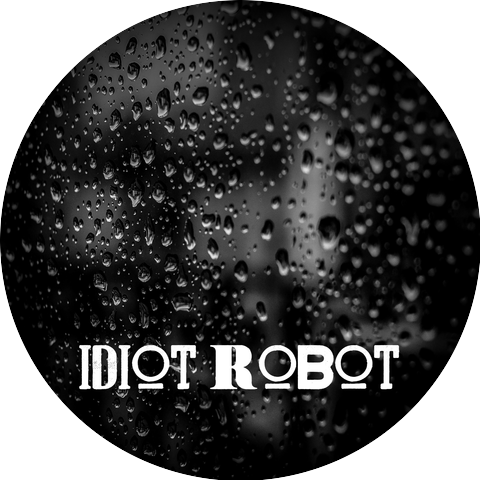 Idiot Robot