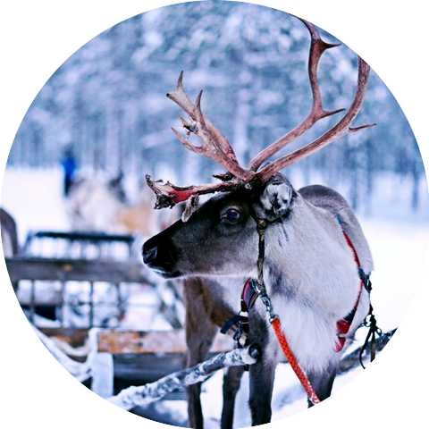 Your Invisible Wings