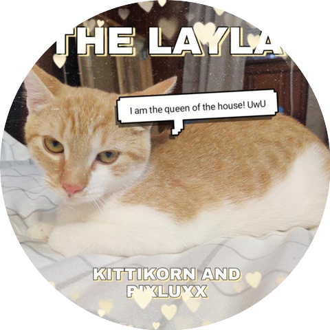 KittiKorn