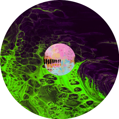 Petals In Sound