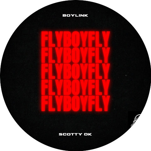 BoyLink