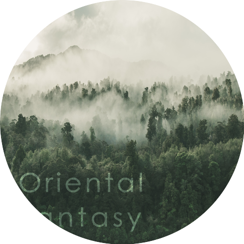 Javastory