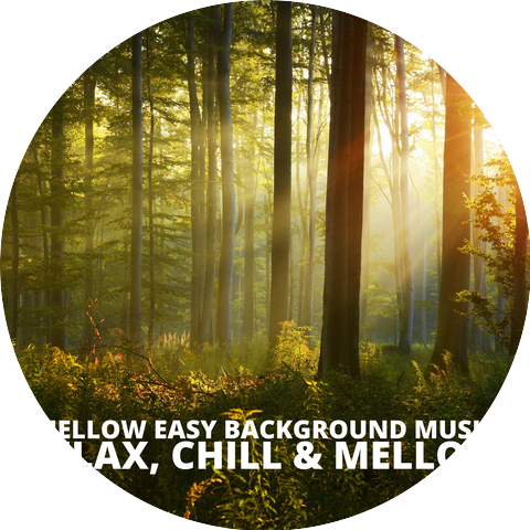 Mellow Easy Background Music