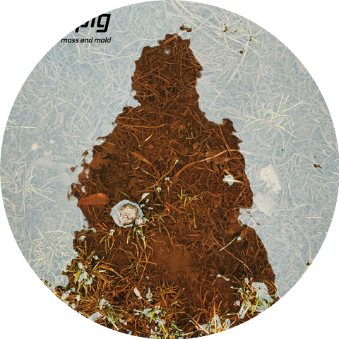 Grasspig