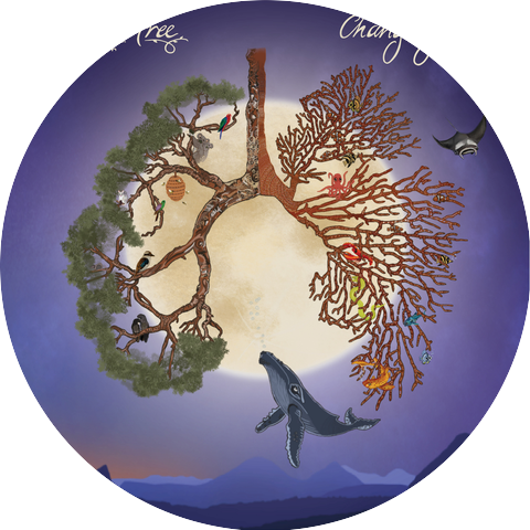 JC and the Tree