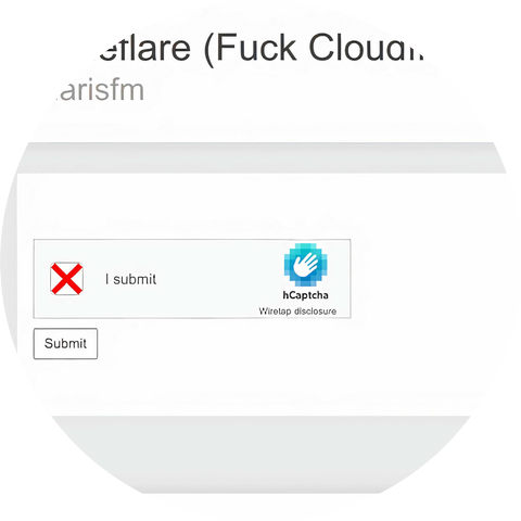 Polarisfm