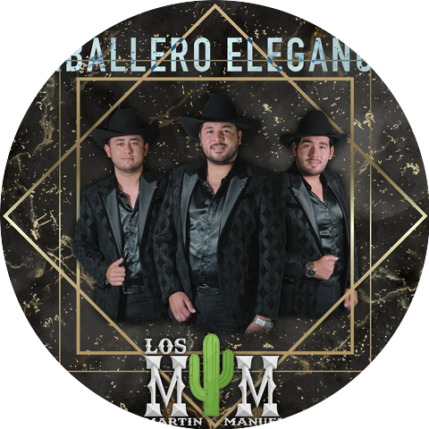Los MyM de Martin y Manuel