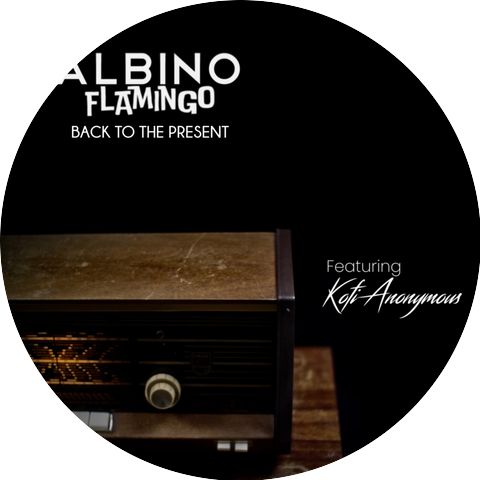 Albino Flamingo