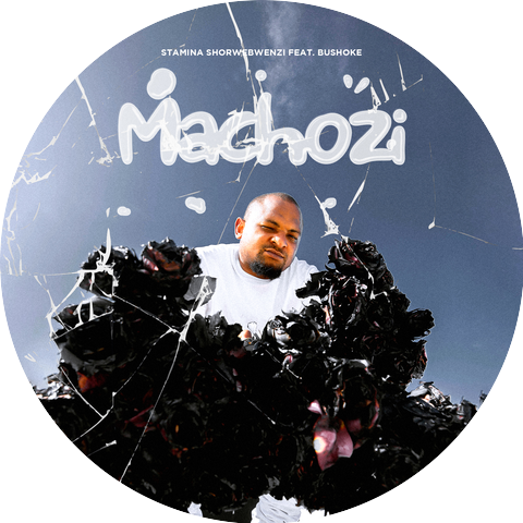 Stamina Shorwebwenzi