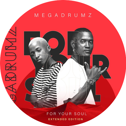 Megadrumz