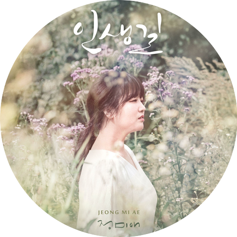JUNG MI AE