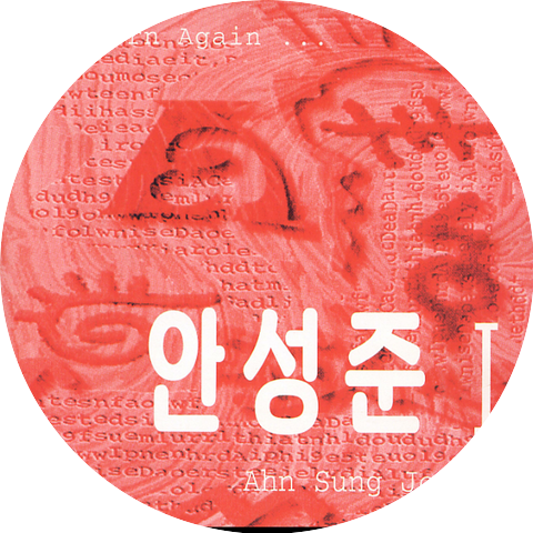 Ahn Sung Hoon