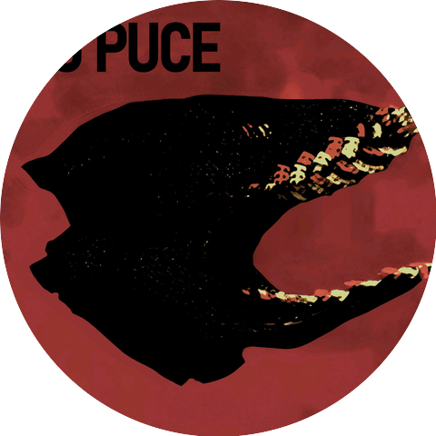 Pig Puce