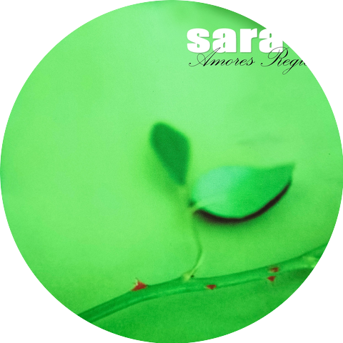 Sara K.