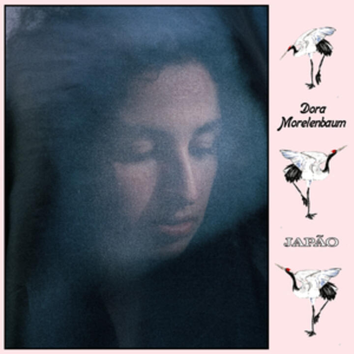Dora Morelenbaum