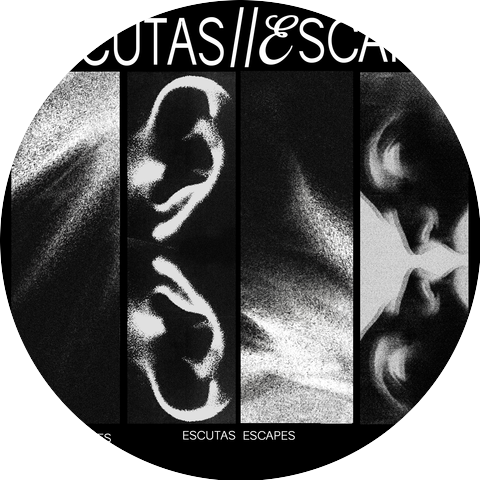 Fátima Carneiro dos Santos