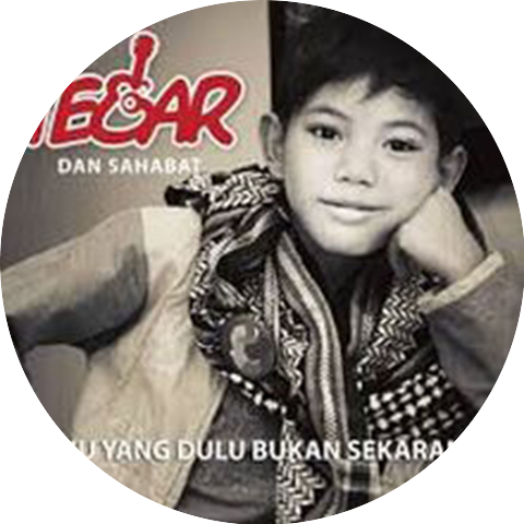 Bagas
