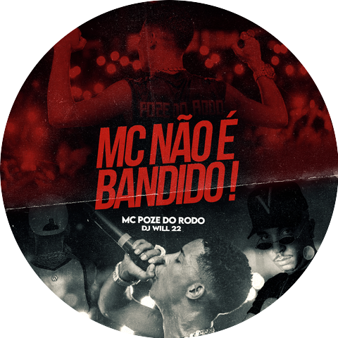 Mc Poze do Rodo & DJ Will22